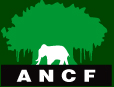 Ancf-Logo